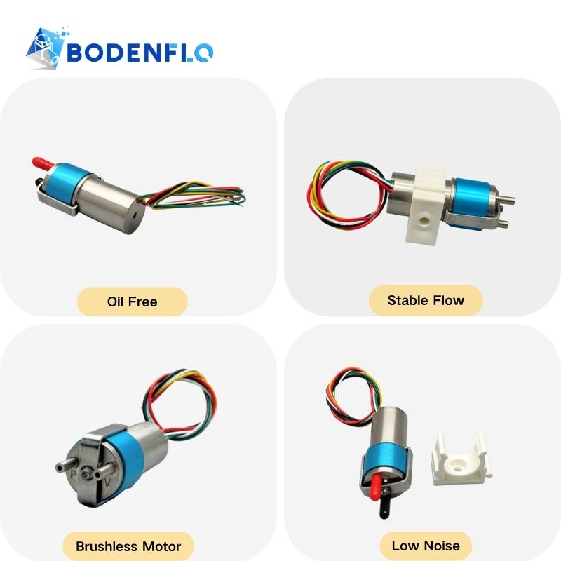 BD-05T01HR5LB mini rotary vane pump with oil-free operation stable flow brushless motor and low noise