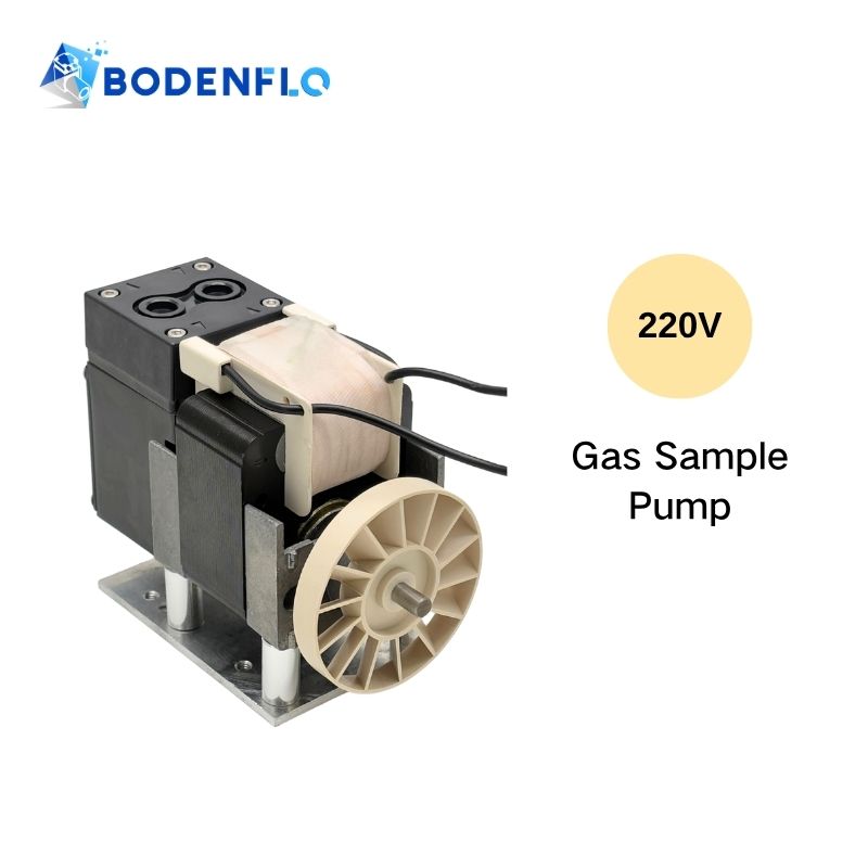 BODENFLO BD-05T0610AC 220V gas sampling pump for CEMS and analytical equipment