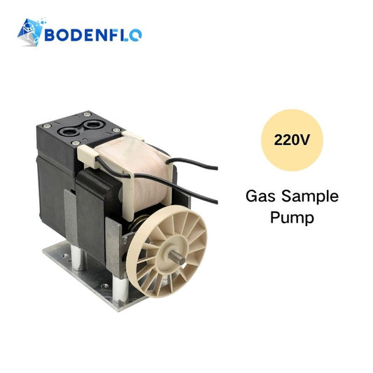 BODENFLO BD-05T0610AC 220V gas sampling pump for CEMS and analytical equipment
